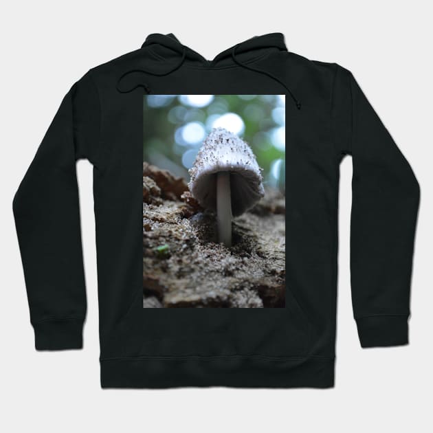 Wild Mushroom Hoodie by AflipnCookie